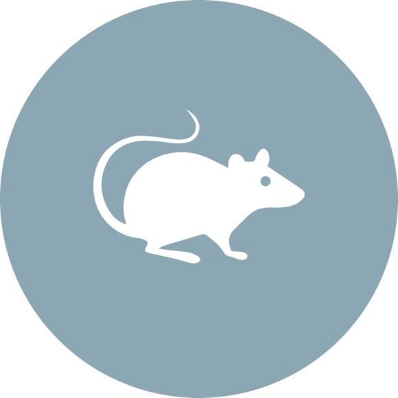ratagenda